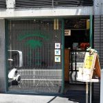 33トリケラトプス
