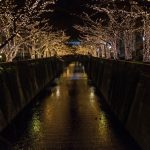 DSC_7261-1